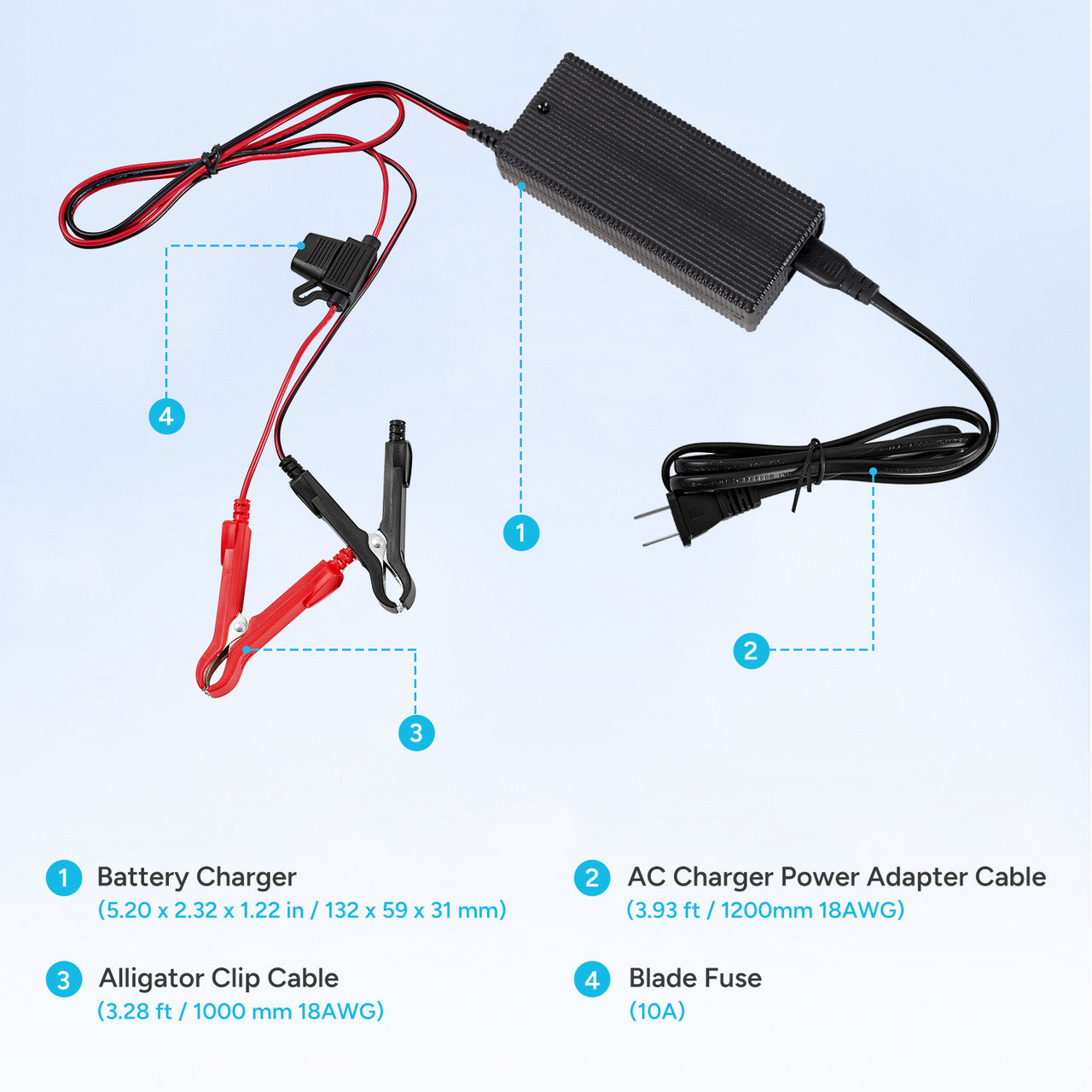 2. lifepo4 battery charger
