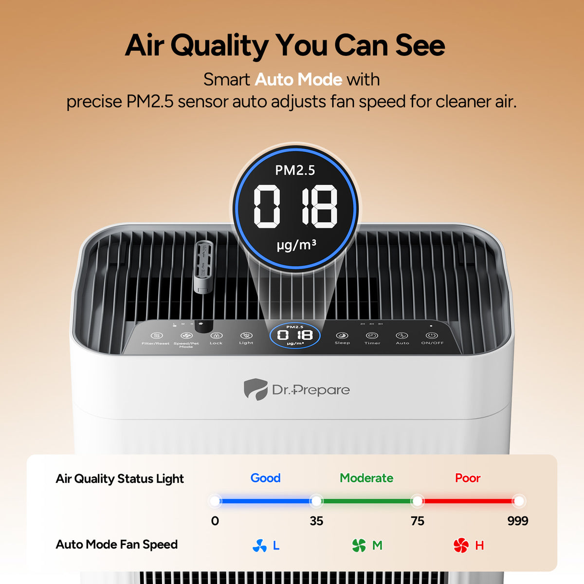 DAP01 HEPA Air Purifier with Pet Mode