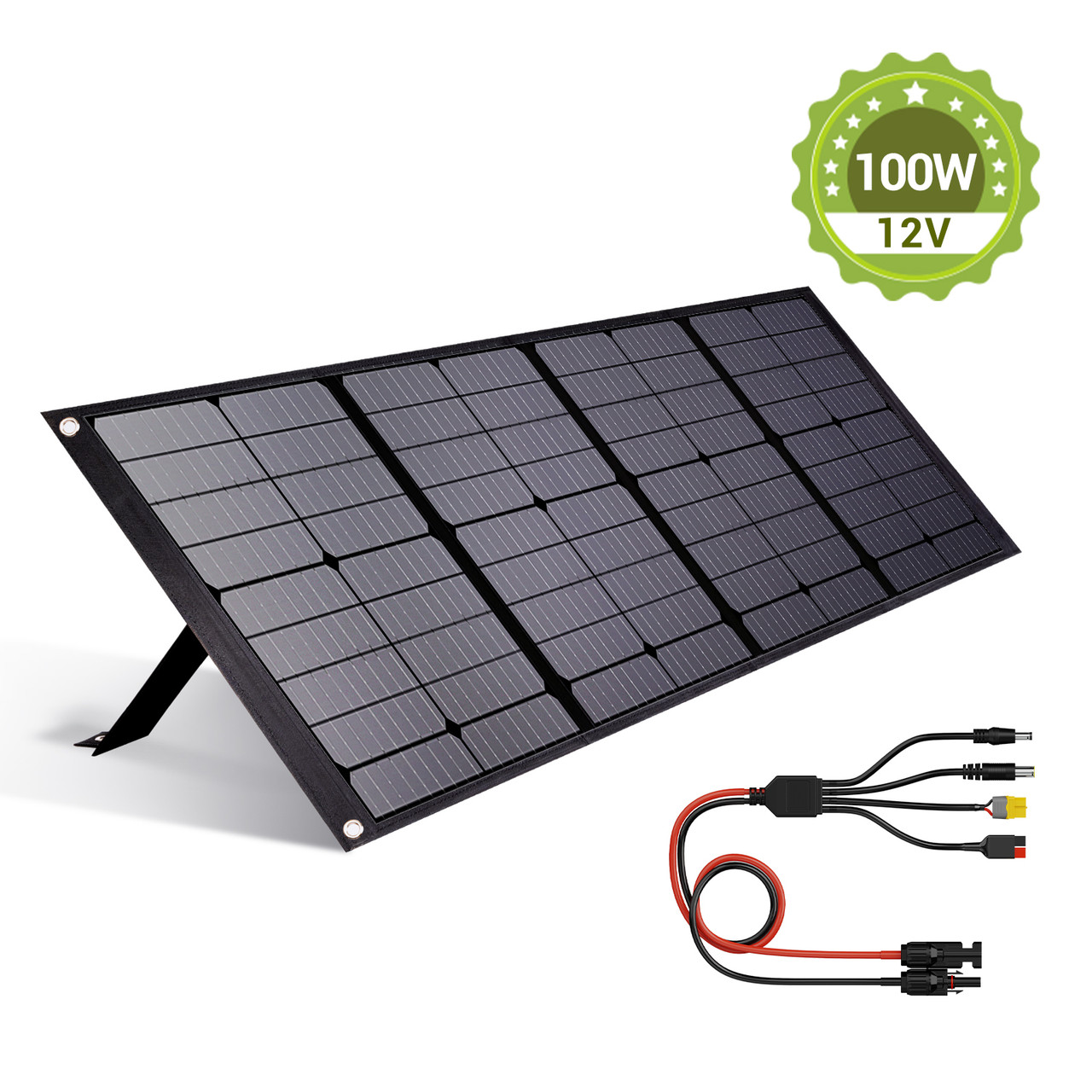 2-in-1 PowerMax 100Ah 12V LiFePO4 Battery & 1280Wh Portable Power Station (Upgraded)