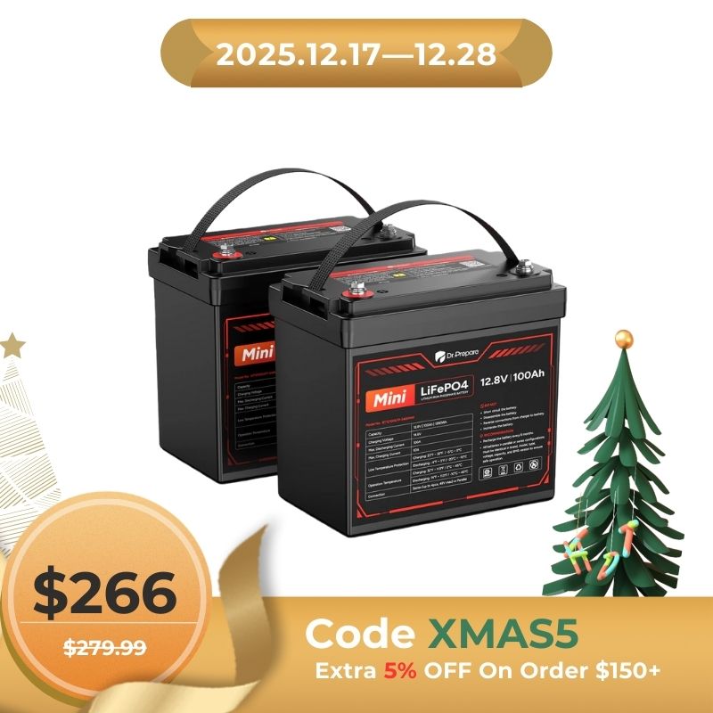 Mini 12V 100Ah LiFePO4 Lithium Battery – 10-Year Warranty