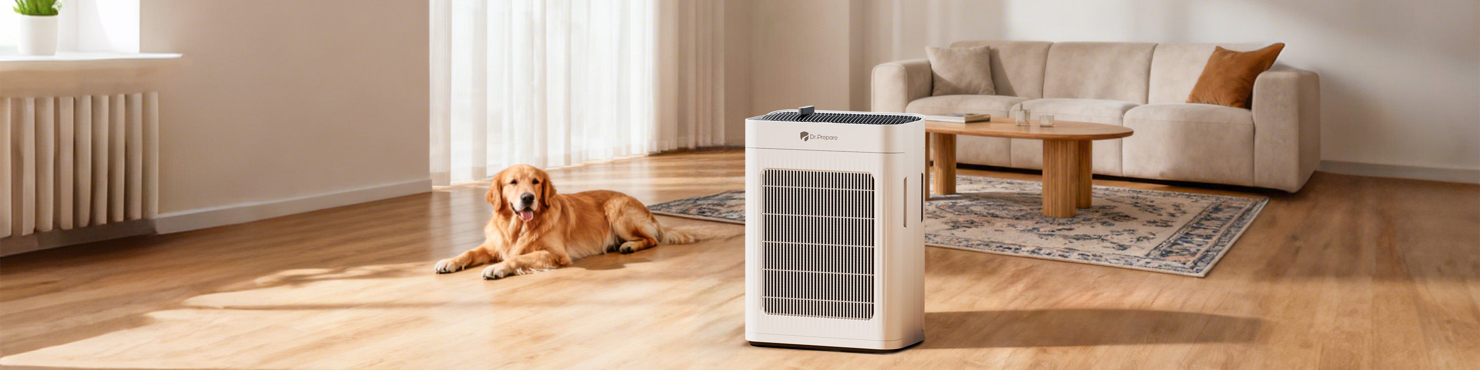 Air Purifiers