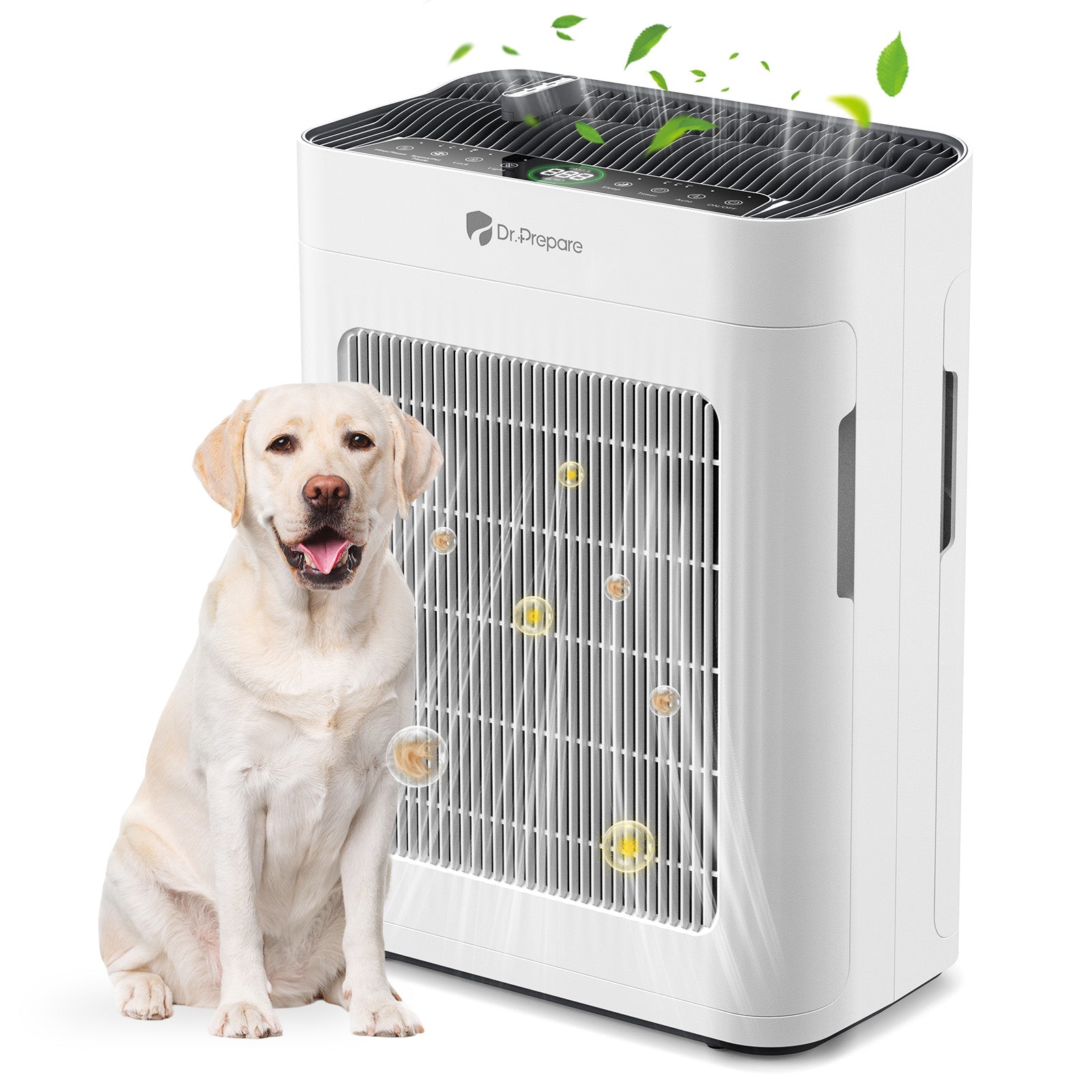 DAP01 HEPA Air Purifier with Pet Mode