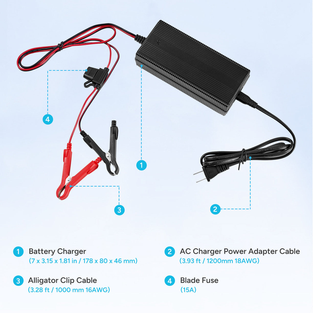 2. lifepo4 battery charger