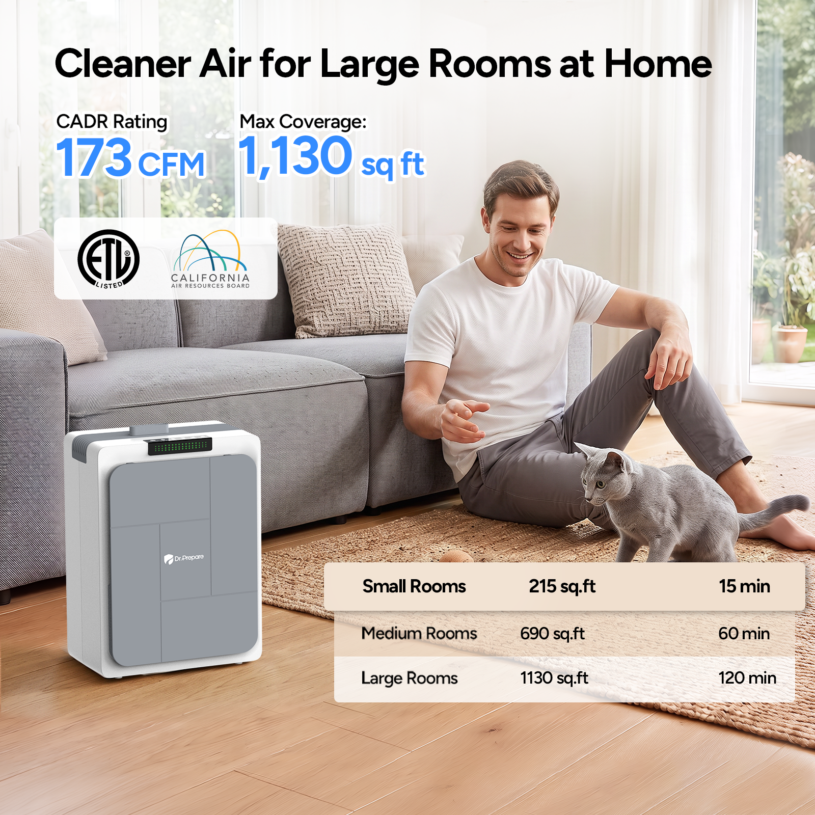 DAP03H HEPA Air Purifier