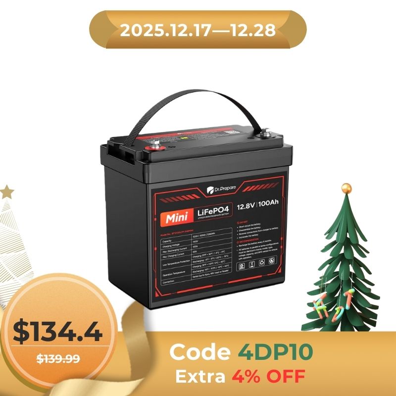 Mini 12V 100Ah LiFePO4 Lithium Battery – 10-Year Warranty